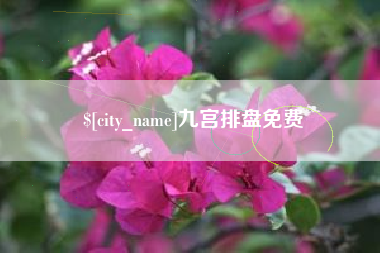 衡水九宫排盘免费