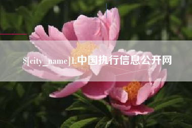 衡水1.中国执行信息公开网