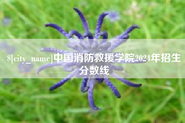衡水中国消防救援学院2024年招生分数线