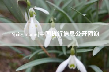 衡水中国执行信息公开网询