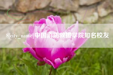 衡水中国消防救援学院知名校友