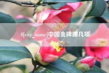 衡水中国金牌哪几项