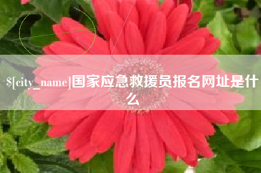 衡水国家应急救援员报名网址是什么