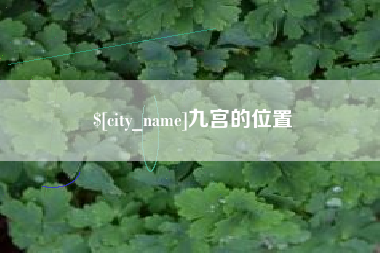 衡水九宫的位置