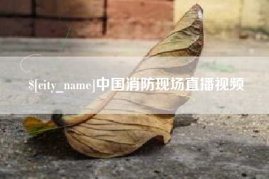 衡水中国消防现场直播视频