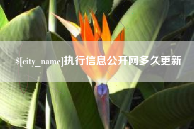 衡水执行信息公开网多久更新
