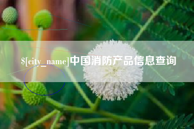 衡水中国消防产品信息查询