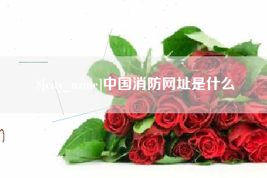 衡水中国消防网址是什么