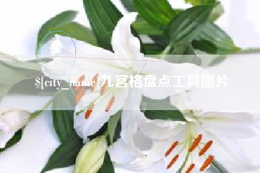 衡水九宫格盘点工具图片
