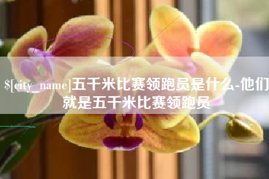 衡水五千米比赛领跑员是什么-他们就是五千米比赛领跑员