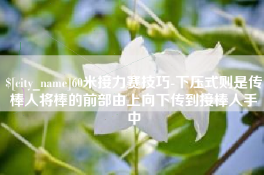 衡水60米接力赛技巧-下压式则是传棒人将棒的前部由上向下传到接棒人手中