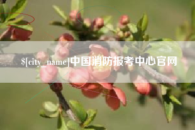 衡水中国消防报考中心官网