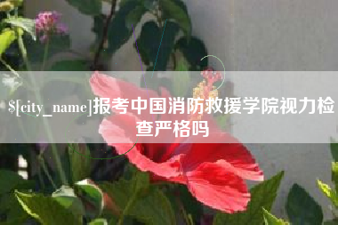 衡水报考中国消防救援学院视力检查严格吗