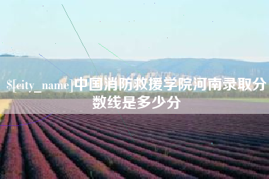 衡水中国消防救援学院河南录取分数线是多少分