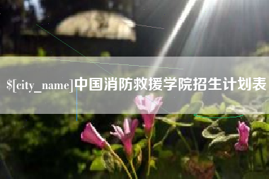 衡水中国消防救援学院招生计划表