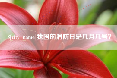 衡水我国的消防日是几月几号？