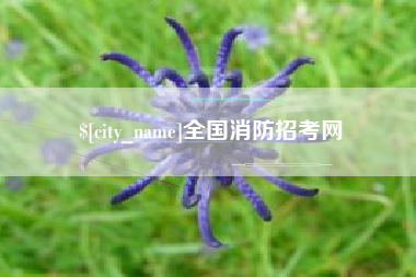 衡水全国消防招考网