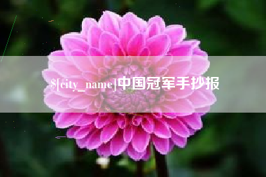 衡水中国冠军手抄报