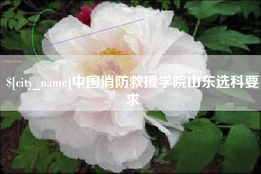 衡水中国消防救援学院山东选科要求