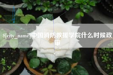 衡水中国消防救援学院什么时候政审