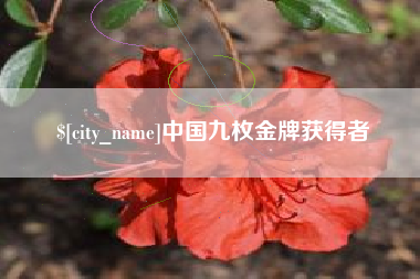 衡水中国九枚金牌获得者