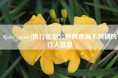 衡水执行信息公开网查询不到被执行人信息