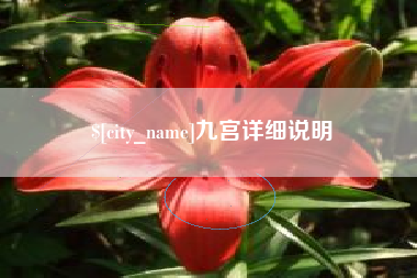 衡水九宫详细说明