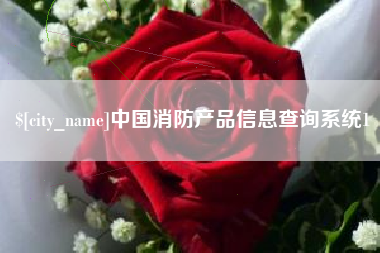 衡水中国消防产品信息查询系统1