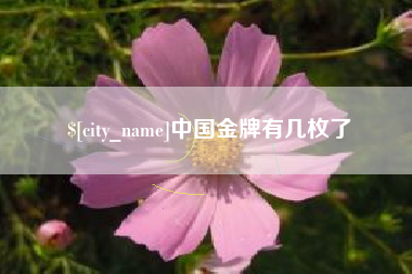 衡水中国金牌有几枚了