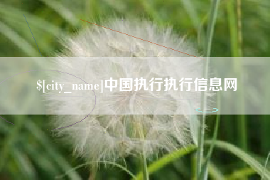 衡水中国执行执行信息网