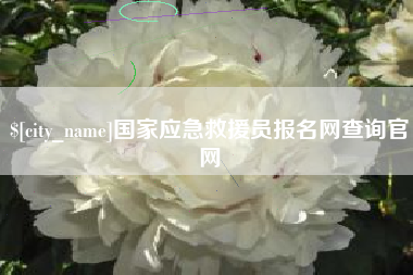 衡水国家应急救援员报名网查询官网