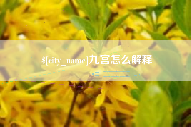 衡水九宫怎么解释