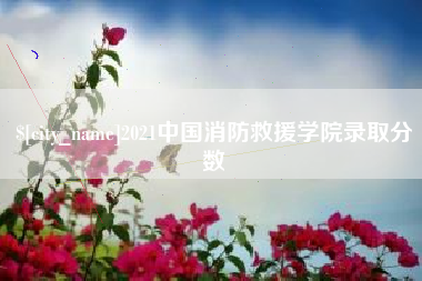 衡水2021中国消防救援学院录取分数