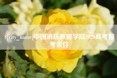 衡水中国消防救援学院2020高考报考条件