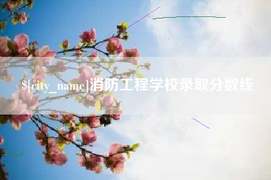 衡水消防工程学校录取分数线