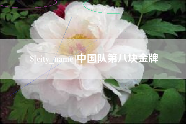 衡水中国队第八块金牌
