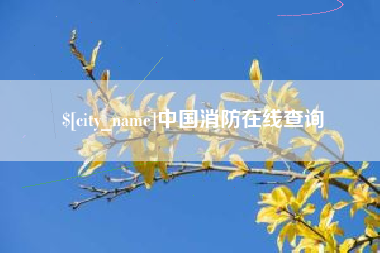 衡水中国消防在线查询