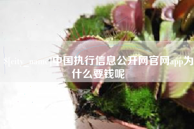 衡水中国执行信息公开网官网app为什么要钱呢