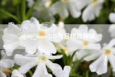 衡水579九宫格如何排