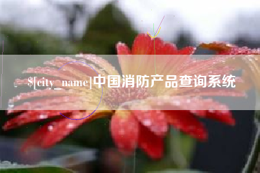 衡水中国消防产品查询系统
