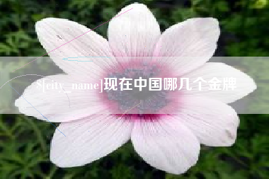 衡水现在中国哪几个金牌