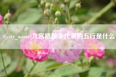 衡水九宫格数字代表的五行是什么