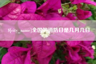 衡水全国的消防日是几月几日