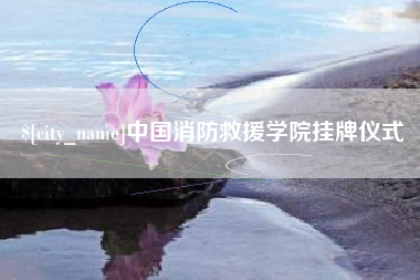 衡水中国消防救援学院挂牌仪式