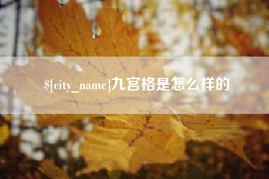 衡水九宫格是怎么样的