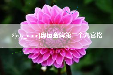 衡水奥运金牌第二个九宫格