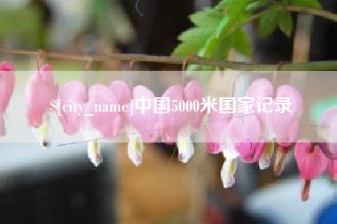 衡水中国5000米国家记录