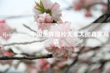 衡水中国金牌图片大全大图真实高清