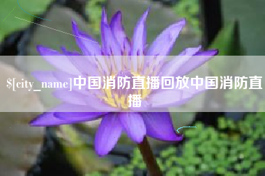 衡水中国消防直播回放中国消防直播