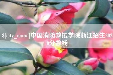 衡水中国消防救援学院浙江招生2020分数线